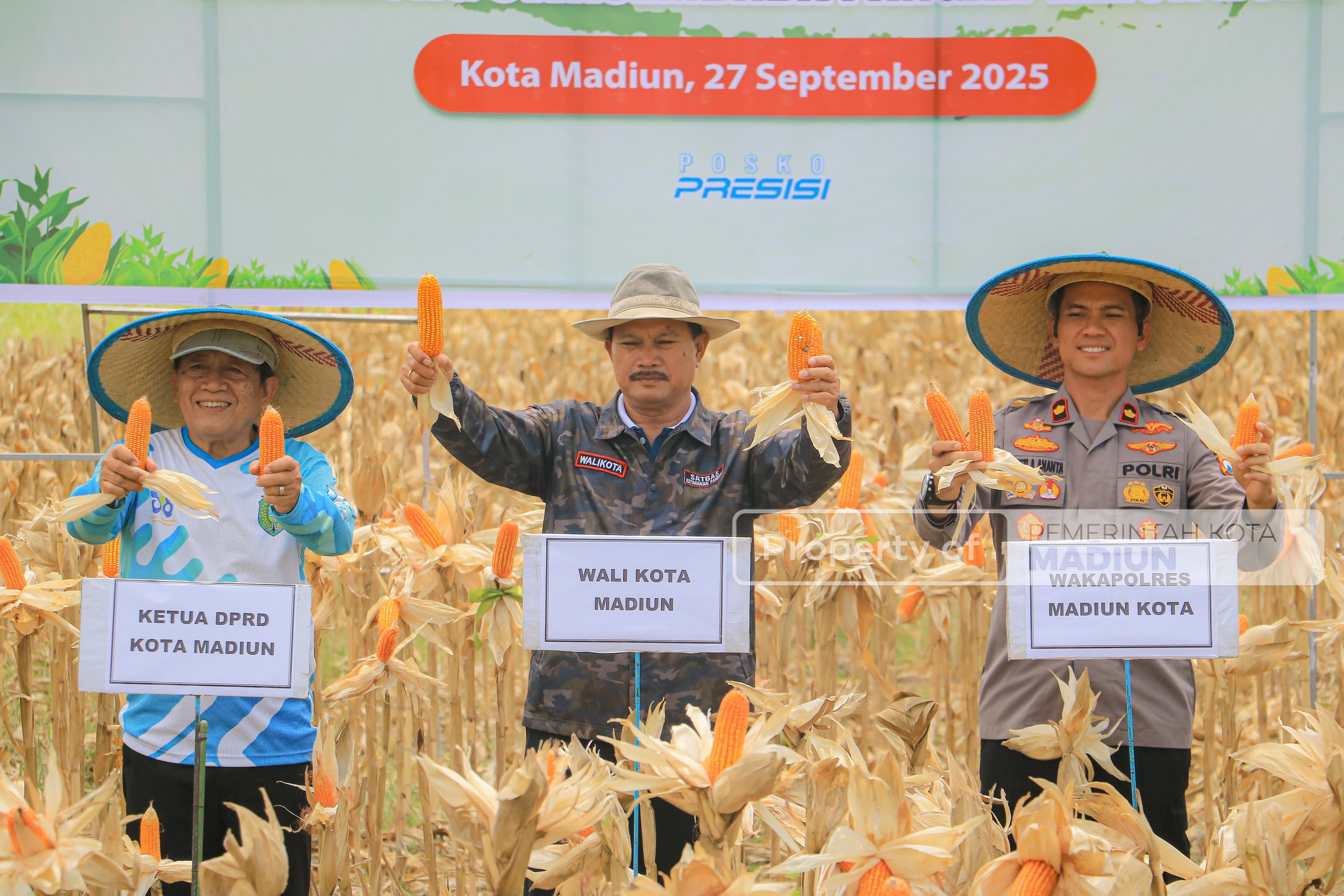 Sinergi Pemerintah dan Polri Perkuat Ketahanan Pangan Lewat Panen Raya Jagung Serentak Kuartal III