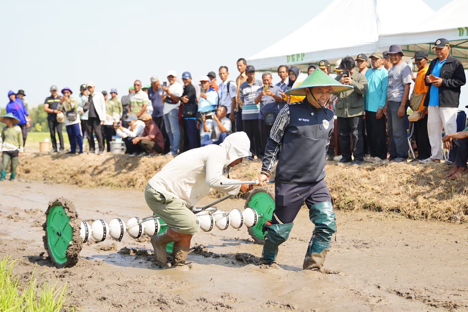 Metode Pertanian Modern AAS Bisa Tingkatkan Produksi 2-3 Ton Perhektar, Masa Tanam Lebih Singkat, Biaya Lebih Murah.