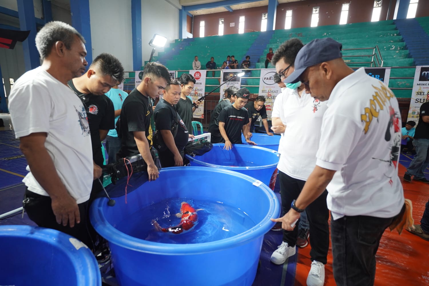Buka Wali Kota Cup Pendekar Koi Show, Wali Kota Buka Pintu Lebar-lebar Event di Kota Pendekar