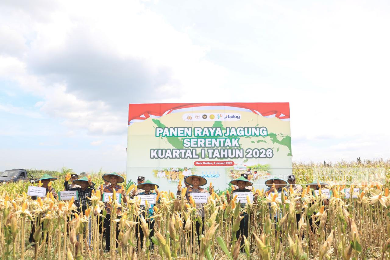 Perkuat Ketahanan Pangan, Pemkot Madiun Bersama Polri dan Forkopimda Gelar Panen Jagung